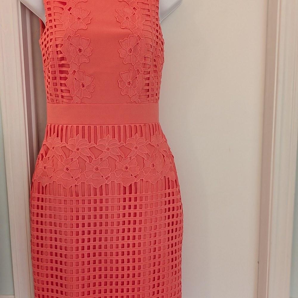 NWT Antonio Milani Stunning Dress Size 0